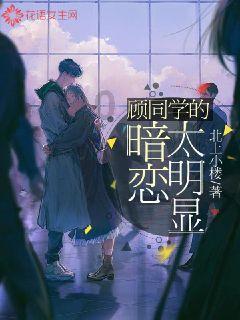 超数码宝贝3.0